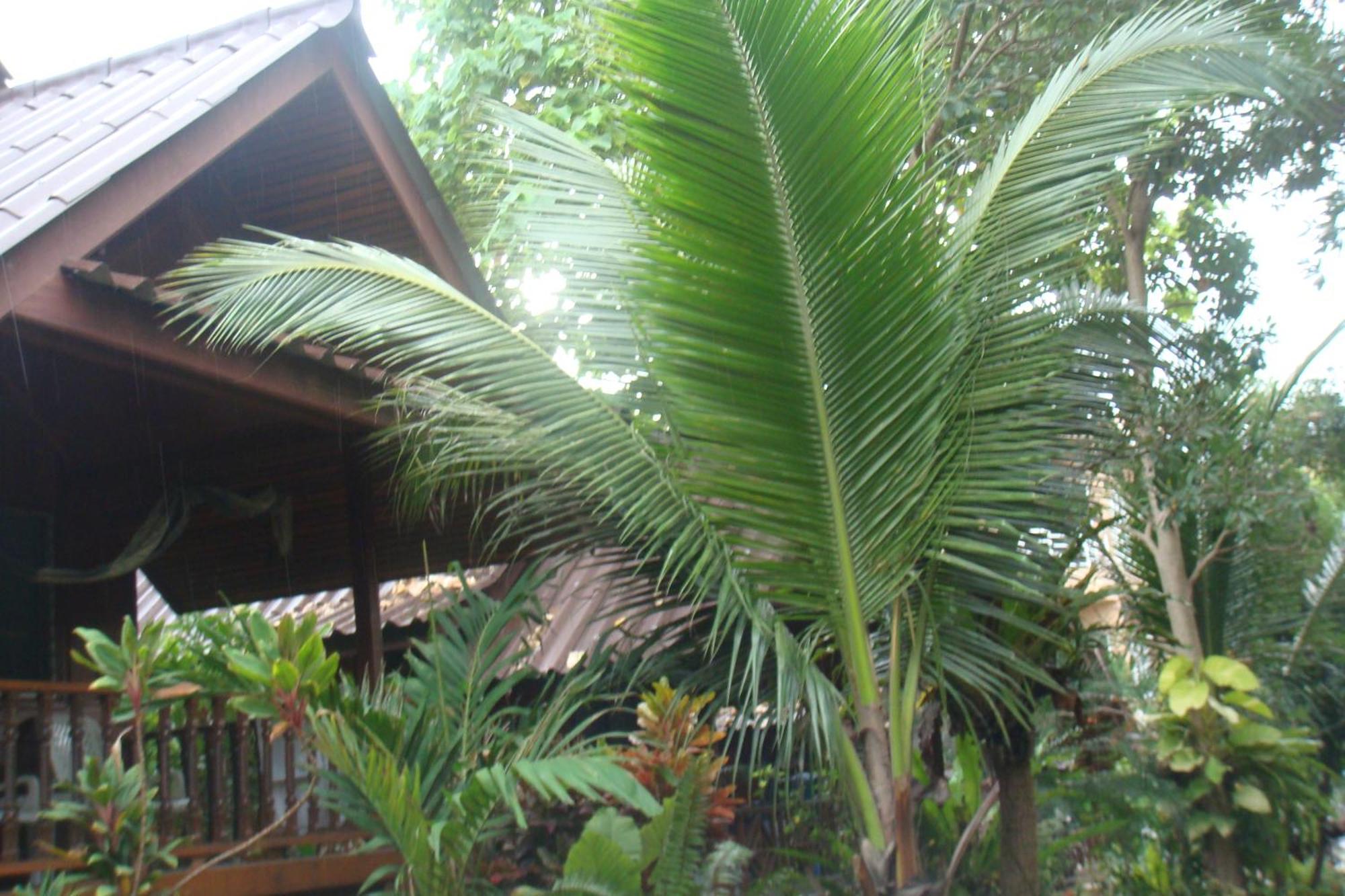 Silver Sands Resort - Ko Tao Esterno foto